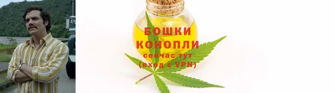 мяу мяу мука Елабуга