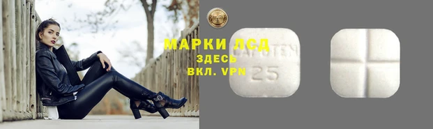крисы Заводоуковск