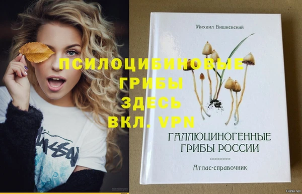 крисы Заводоуковск