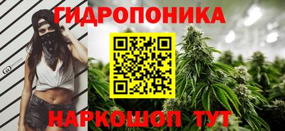 шишки Ирбит
