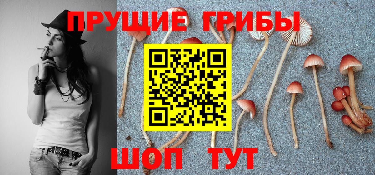 Галлюциногенные грибы мухоморы Ишимбай