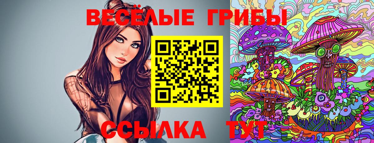 Галлюциногенные грибы ЛСД  купить наркоту  Ишимбай  Вход с VPN 
